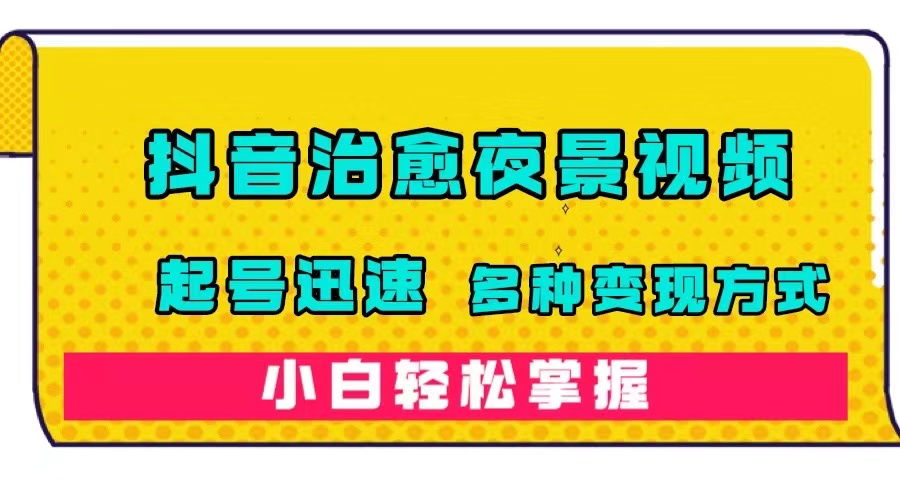 抖音治愈系夜景视频，起号迅速，多种变现方式，小白轻松掌握（附120G素材）-91搞钱