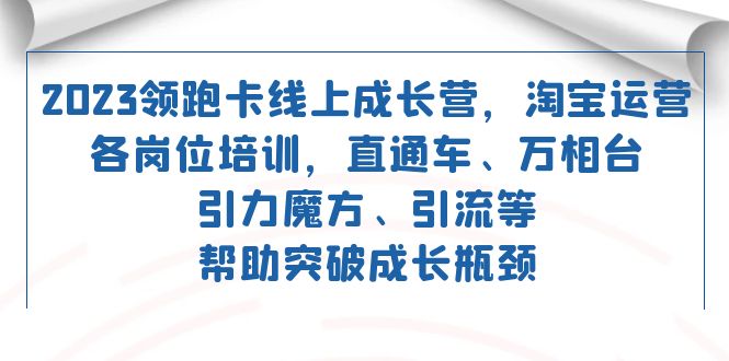 2023领跑·卡 线上成长营 淘宝运营各岗位培训 直通车 万相台 引力魔方 引流-91搞钱