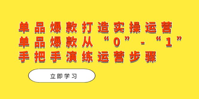 单品爆款打造实操运营，单品爆款从“0”-“1”手把手演练运营步骤-91搞钱