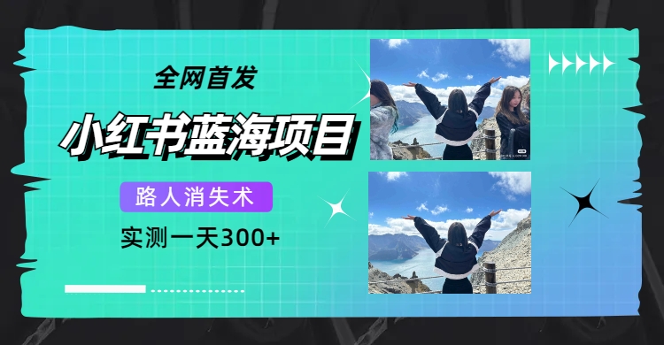 全网首发，小红书蓝海项目，路人消失术，实测一天300+（教程+工具）-91搞钱