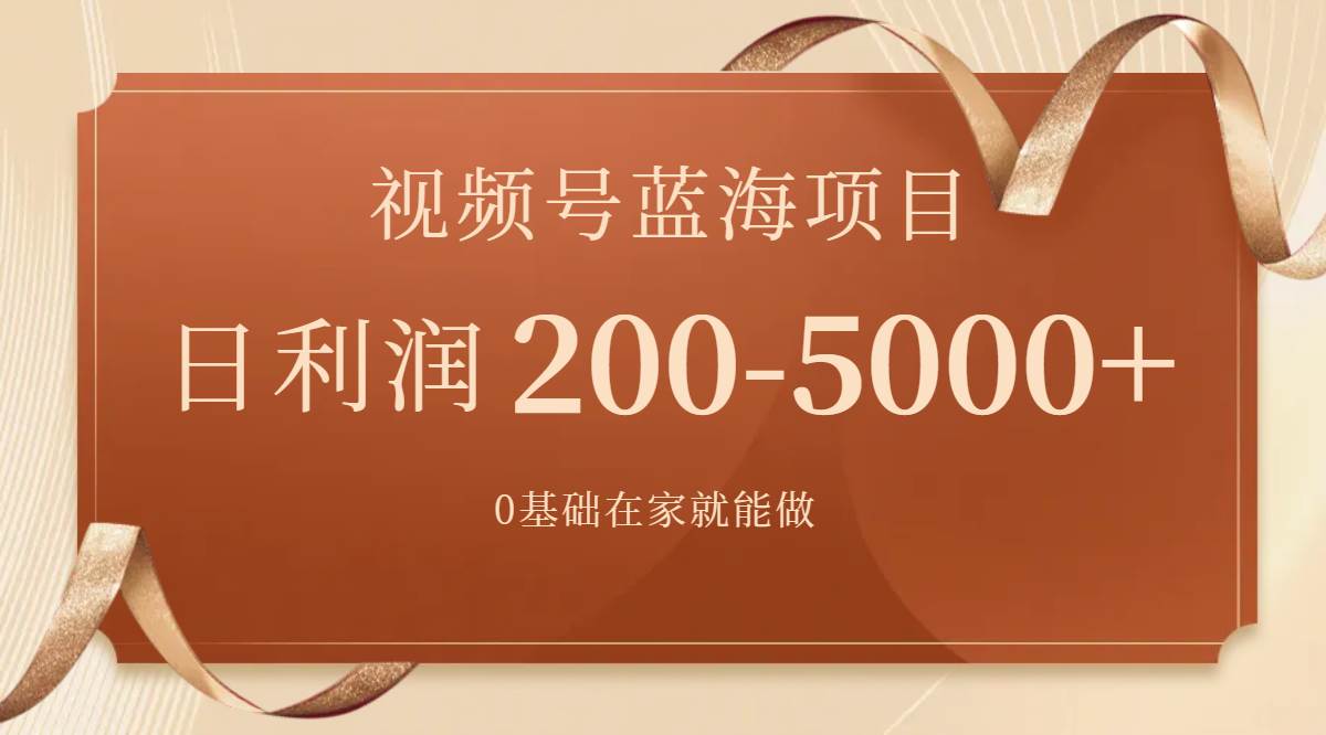 视频号蓝海项目，0基础在家也能做，一天200-5000+【附266G资料】-91搞钱