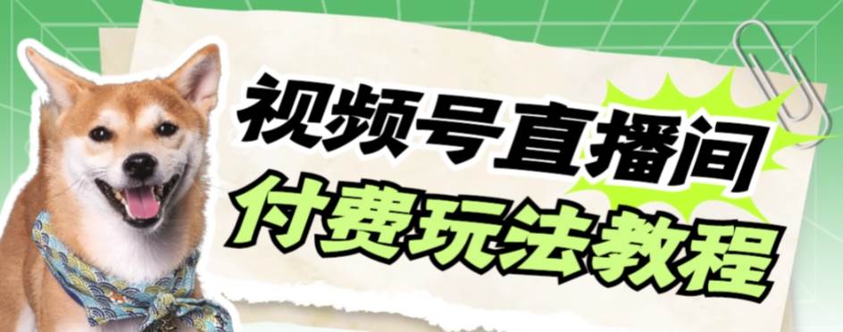 视频号美女付费无人直播，轻松日入500+【详细玩-91搞钱