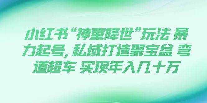 小红书“神童降世”玩法 暴力起号,私域打造聚宝盆 弯道超车 实现年入几十万-91搞钱