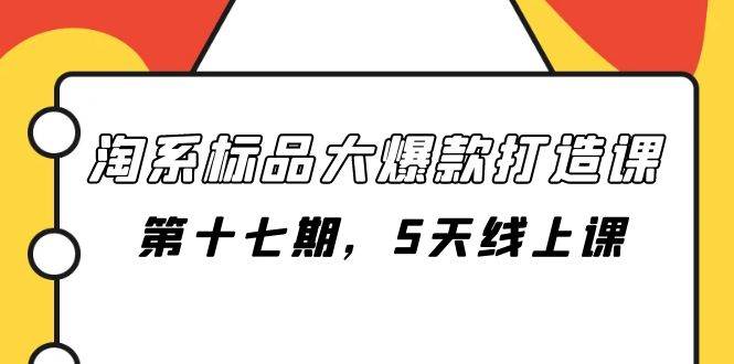 淘系标品大爆款打造课-第十七期，5天线上课-91搞钱