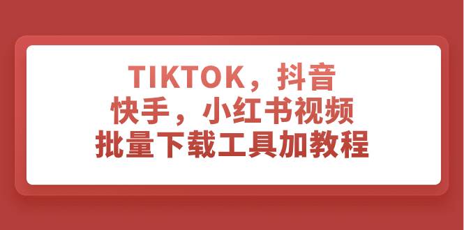 TIKTOK，抖音，快手，小红书视频批量下载工具加教程-91搞钱