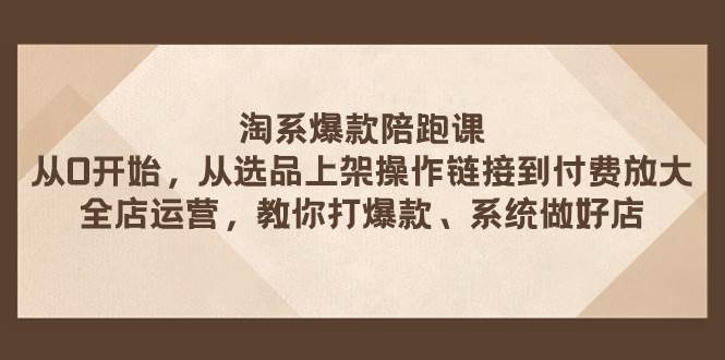 淘系爆款陪跑课 从选品上架操作链接到付费放大 全店运营 打爆款 系统做好店-91搞钱