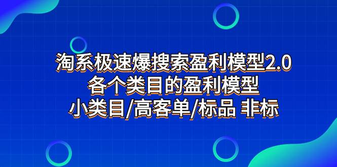 淘系极速爆搜索盈利模型2.0，各个类目的盈利模型，小类目/高客单/标品 非标-91搞钱
