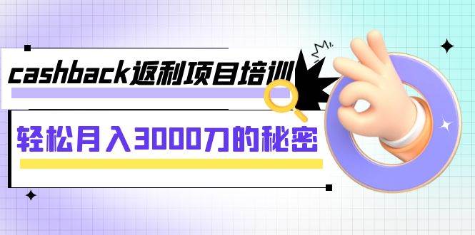 cashback返利项目培训：轻松月入3000刀的秘密（8节课）-91搞钱