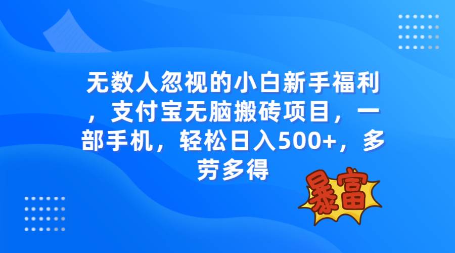 无数人忽视的项目，支付宝无脑搬砖项目，一部手机即可操作，轻松日入500+-91搞钱