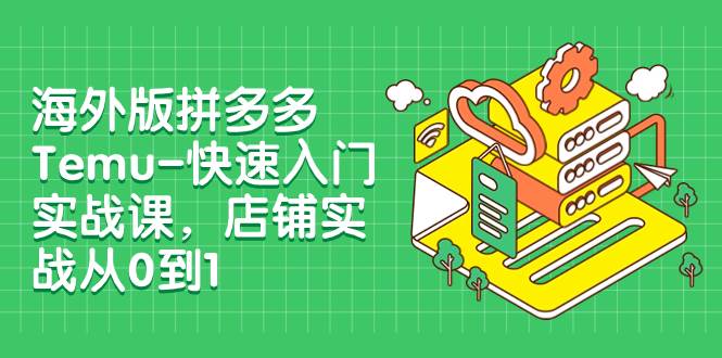 海外版拼多多Temu-快速入门实战课，店铺实战从0到1（12节课）-91搞钱
