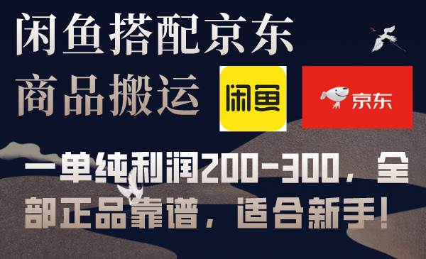闲鱼搭配京东备份库搬运，一单纯利润200-300，全部正品靠谱，适合新手！-91搞钱