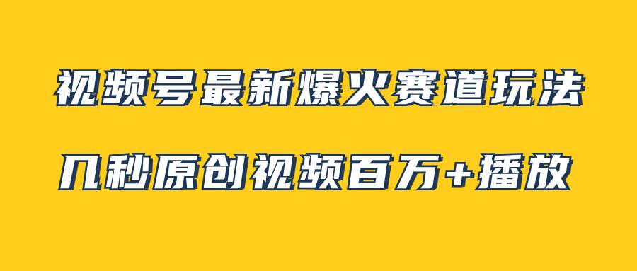 视频号最新爆火赛道玩法，几秒视频可达百万播放，小白即可操作（附素材）-91搞钱