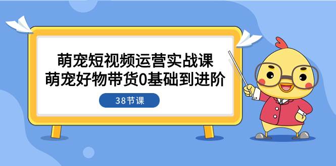 萌宠·短视频运营实战课：萌宠好物带货0基础到进阶（38节课）-91搞钱