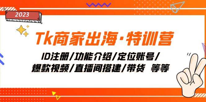 Tk商家出海·特训营：ID注册/功能介绍/定位账号/爆款视频/直播间搭建/带货-91搞钱