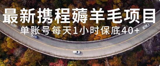 最新携程薅羊毛项目，单账号每天1小时保底收益40+，可矩阵操作-91搞钱