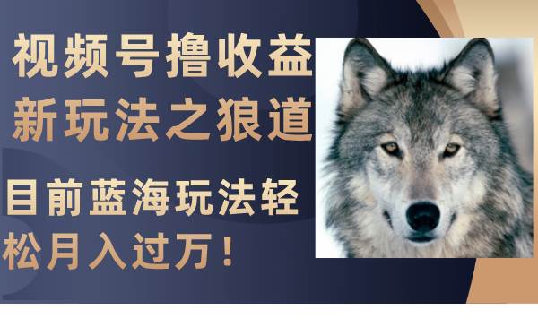 视频号撸收益新玩法之狼道，目前蓝海玩法轻松月入过万！-91搞钱