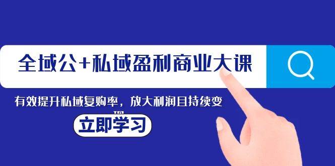 全域公+私域盈利商业大课，有效提升私域复购率，放大利润且持续变现-91搞钱