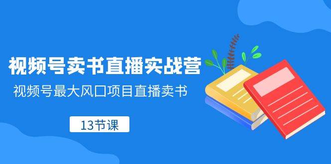 视频号-卖书直播实战营，视频号最大风囗项目直播卖书（13节课）-91搞钱