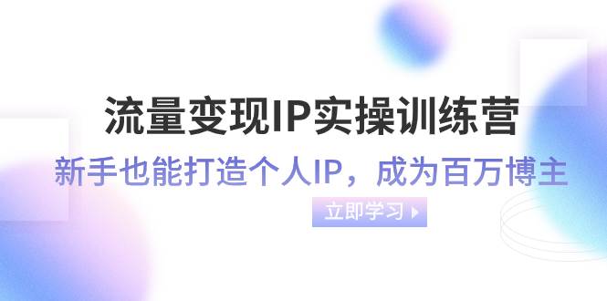 流量变现-IP实操训练营：新手也能打造个人IP，成为百万博主（46节课）-91搞钱