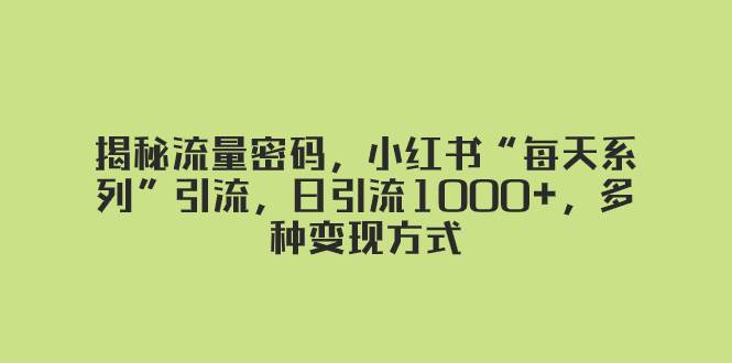 揭秘流量密码，小红书“每天系列”引流，日引流1000+，多种变现方式-91搞钱