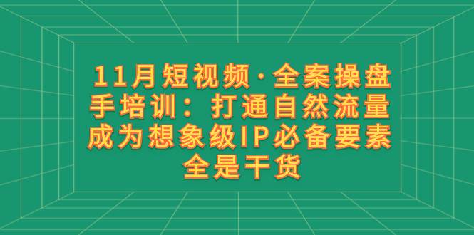 11月短视频·全案操盘手培训：打通自然流量 成为想象级IP必备要素 全是干货-91搞钱