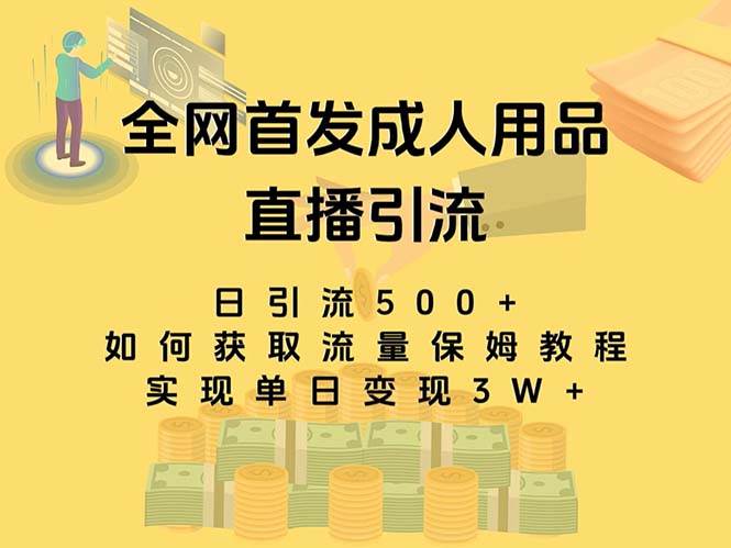 最新全网独创首发，成人用品直播引流获客暴力玩法，单日变现3w保姆级教程-91搞钱