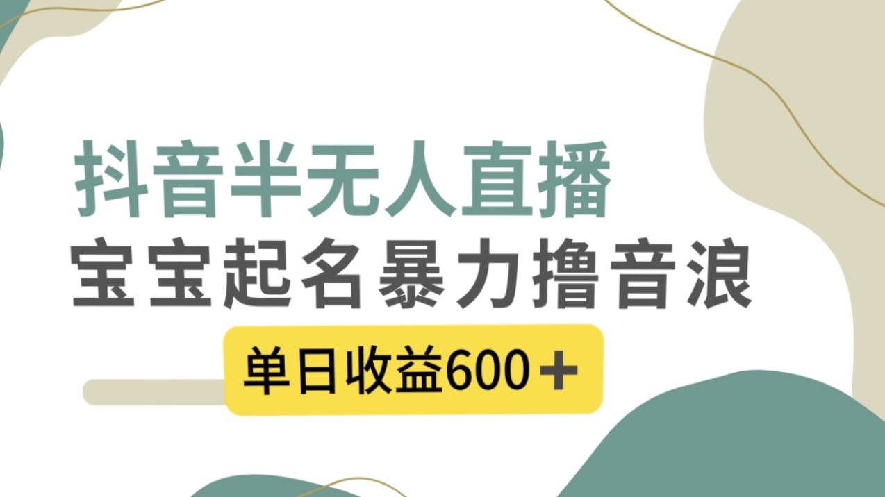 抖音半无人直播，宝宝起名，暴力撸音浪，单日收益600+-91搞钱