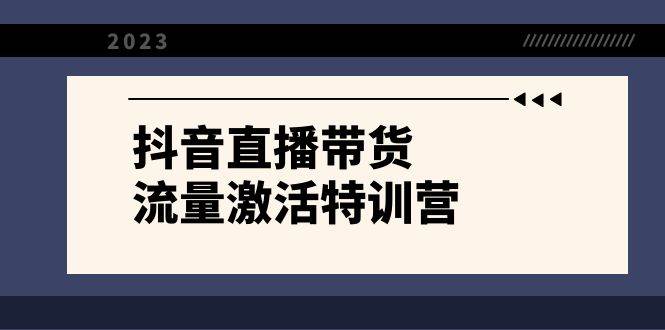 抖音直播带货-流量激活特训营，入行新手小白主播必学（21节课+资料）-91搞钱