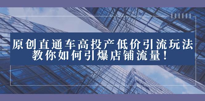 2023直通车高投产低价引流玩法，教你如何引爆店铺流量！-91搞钱
