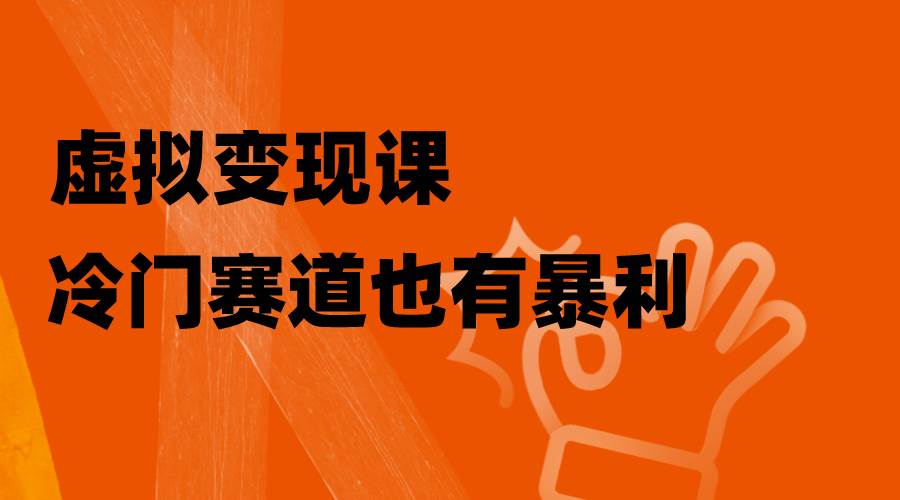 虚拟变现课，冷门赛道也有暴利，手把手教你玩转冷门私域-91搞钱