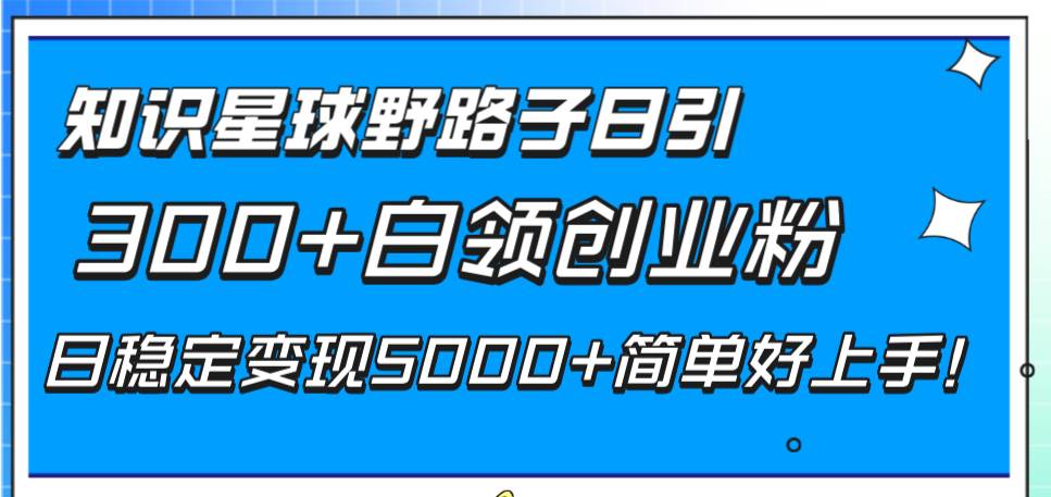 知识星球野路子日引300+白领创业粉，日稳定变现5000+简单好上手！-91搞钱