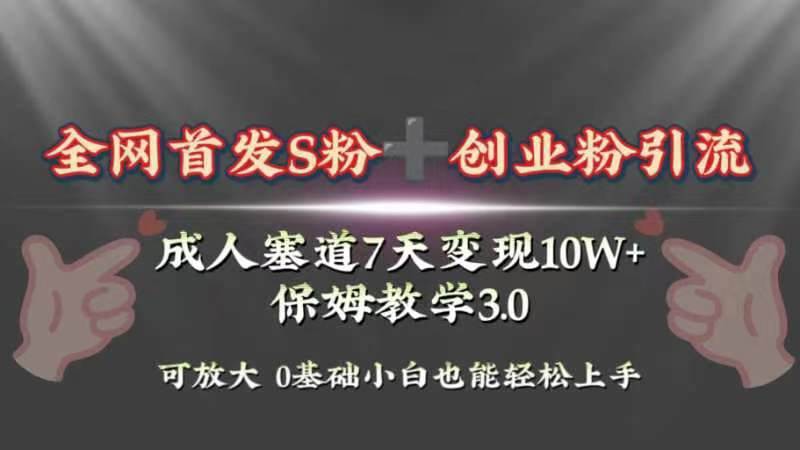 全网首发s粉加创业粉引流变现，成人用品赛道7天变现10w+保姆教学3.0-91搞钱
