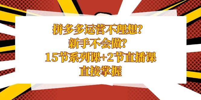 拼多多运营不理想？新手不会做？15节系列课+2节直播课，直接掌握-91搞钱
