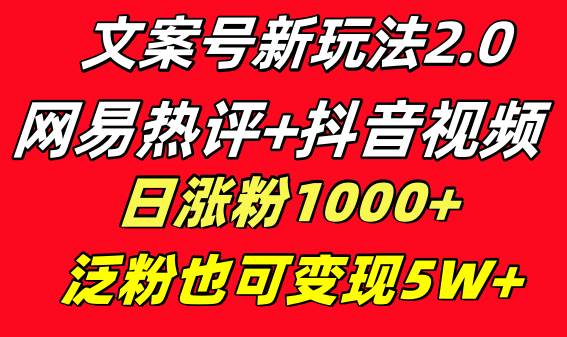 文案号新玩法 网易热评+抖音文案 一天涨粉1000+ 多种变现模式 泛粉也可变现-91搞钱