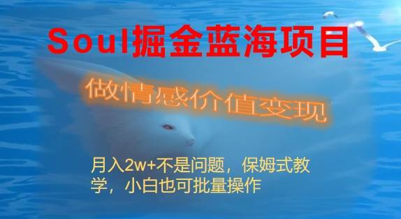 Soul掘金蓝海项目细分赛道，做情感价值变现，月入2w+不是问题-91搞钱