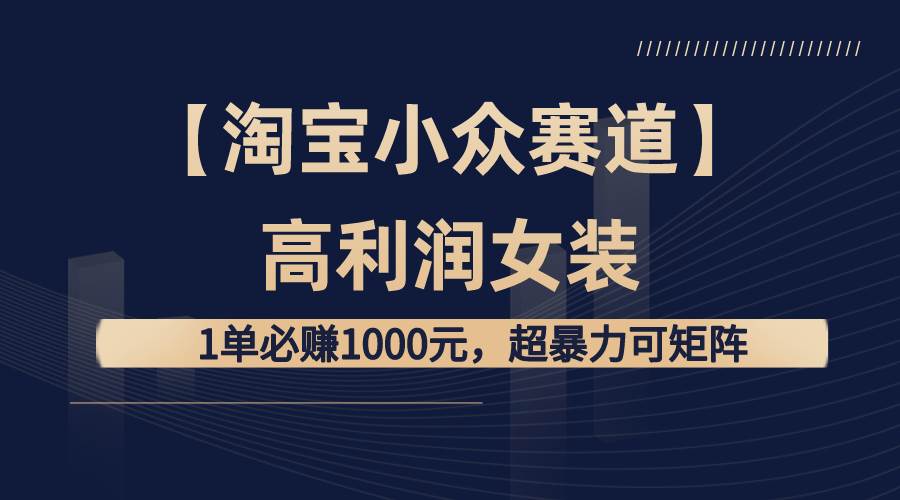 【淘宝小众赛道】高利润女装：1单必赚1000元，超暴力可矩阵-91搞钱