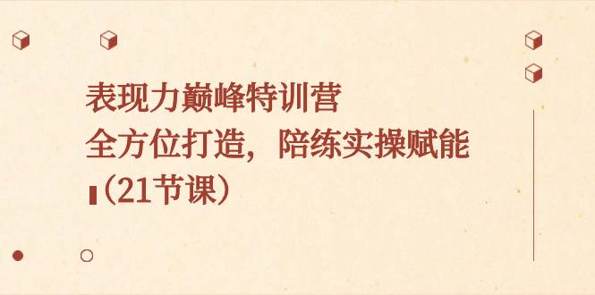 表现力巅峰特训营，全方位打造，陪练实操赋能（21节课）-91搞钱