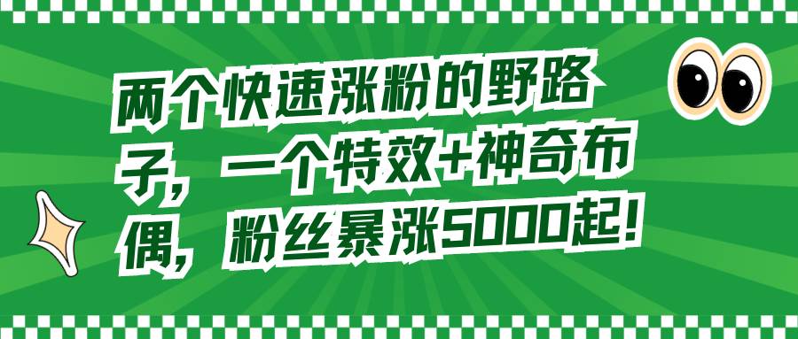 两个快速涨粉的野路子，一个特效+神奇布偶，粉丝暴涨5000起！-91搞钱
