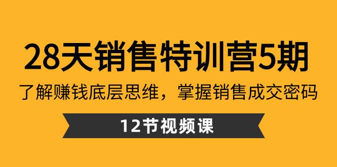 28天·销售特训营5期：了解赚钱底层思维，掌握销售成交密码（12节课）-91搞钱