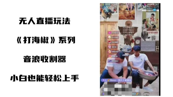 打海椒无人直播整蛊项目，小白轻松上手撸音浪收割器（教程+工具+素材）-91搞钱