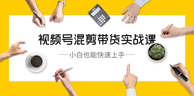 视频号-混剪带货实战课，小白也能快速上手（10节课）-91搞钱