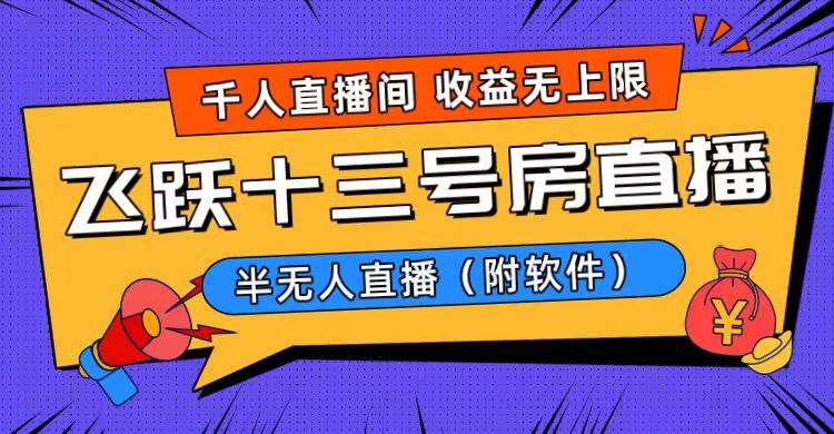 爆火飞跃十三号房半无人直播，一场直播上千人，日入过万！（附软件）-91搞钱
