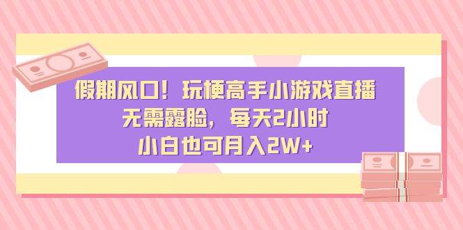 假期风口！玩梗高手小游戏直播，无需露脸，每天2小时，小白也可月入2W+-91搞钱