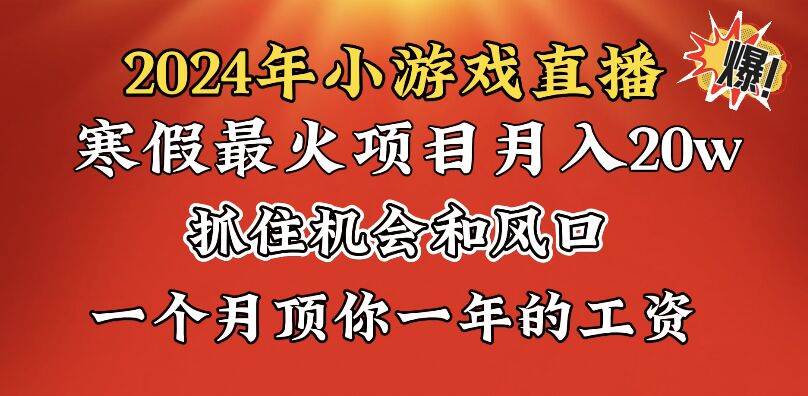 2024年寒假爆火项目，小游戏直播月入20w+，学会了之后你将翻身-91搞钱