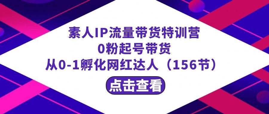 繁星·计划素人IP流量带货特训营：0粉起号带货 从0-1孵化网红达人（156节）-91搞钱