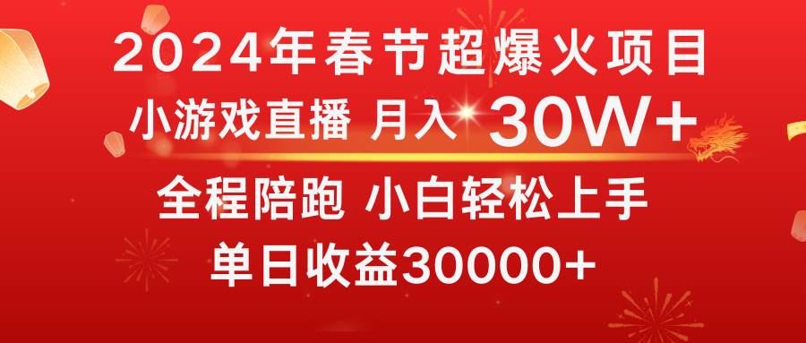 龙年2024过年期间，最爆火的项目 抓住机会 普通小白如何逆袭一个月收益30W+-91搞钱