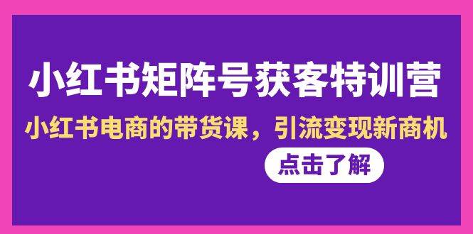 小红书-矩阵号获客特训营-第10期，小红书电商的带货课，引流变现新商机-91搞钱