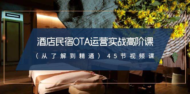 酒店民宿-OTA运营实战高阶课（从了解到精通）45节视频课-91搞钱