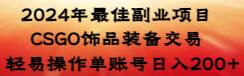 2024年最佳副业项目 CSGO饰品装备交易 轻易操作单账号日入200+-91搞钱