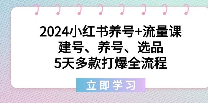 2024小红书养号+流量课：建号、养号、选品，5天多款打爆全流程-91搞钱